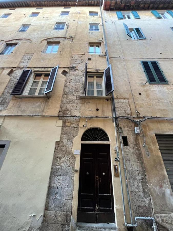Mossotti Street Apartment Pisa Exterior foto